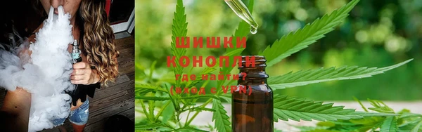 гашик Абинск