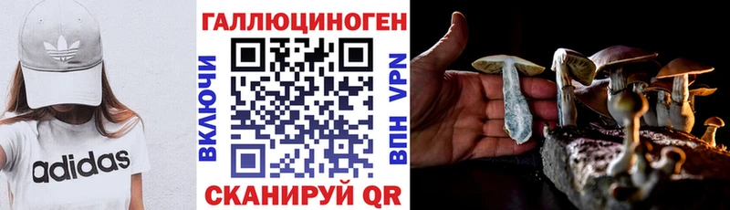 Псилоцибиновые грибы Psilocybe  купить закладку  Советск 