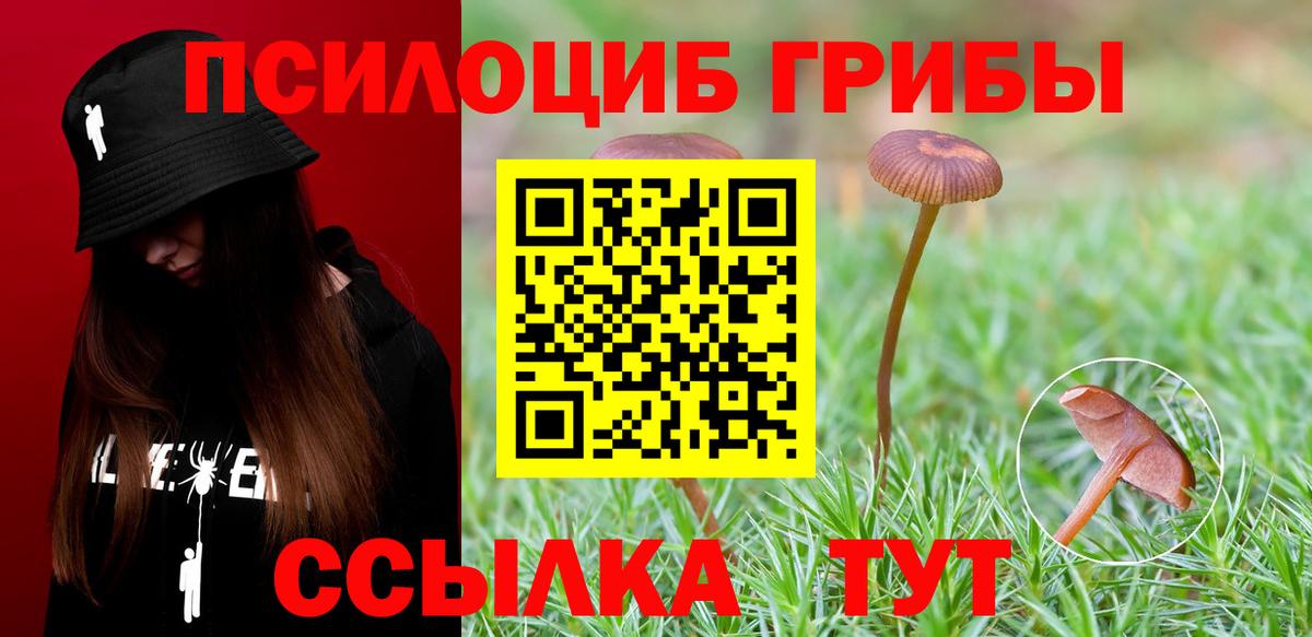 Галлюциногенные грибы Psilocybine cubensis Советск